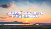白蟻防治：白蟻飛光了為什么還要滅治白蟻？