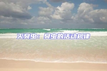 滅臭蟲：臭蟲的活動規律