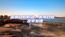 深圳白蟻防治：發現白蟻、及早處理