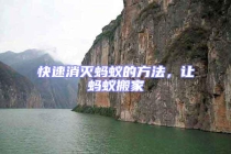 快速消滅螞蟻的方法，讓螞蟻搬家