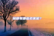 蟑螂有哪些危害呢？