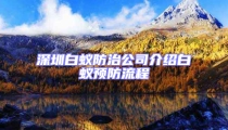 深圳白蟻防治公司介紹白蟻預防流程
