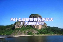 為什么蟑螂沒有頭還能活？滅蟑螂公司