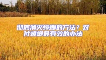 徹底消滅蟑螂的方法？對付蟑螂最有效的辦法