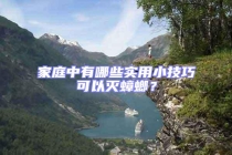 家庭中有哪些實用小技巧可以滅蟑螂？