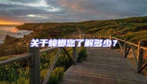 關于蟑螂您了解多少？