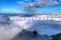 螞蟻到底是益蟲還是害蟲？