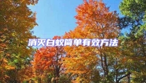消滅白蟻簡(jiǎn)單有效方法