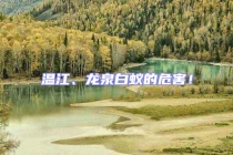 溫江、龍泉白蟻的危害！