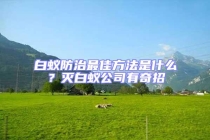 白蟻防治最佳方法是什么？滅白蟻公司有奇招