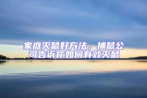 家庭滅鼠好方法，捕鼠公司告訴你如何有效滅鼠