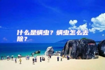 什么是螨蟲？螨蟲怎么去除？