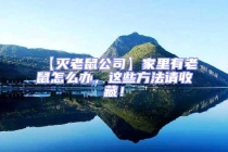 【滅老鼠公司】家里有老鼠怎么辦，這些方法請(qǐng)收藏！