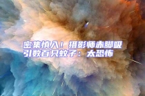 密集慎入！攝影師赤腳吸引數(shù)百只蚊子：太恐怖