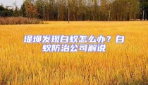 堤壩發(fā)現(xiàn)白蟻怎么辦？白蟻防治公司解說