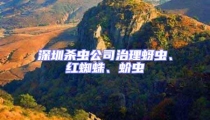 深圳殺蟲公司治理蚜蟲、紅蜘蛛、蚧蟲