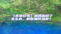 【殺蟲公司】被跳蚤咬了怎么辦，教你如何急救？