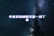 專家見到蟑螂不能一拍了事