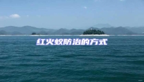 紅火蟻防治的方式