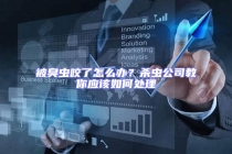 被臭蟲咬了怎么辦？殺蟲公司教你應該如何處理