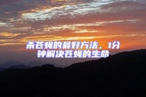 殺蒼蠅的最好方法，1分鐘解決蒼蠅的生命