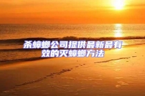 殺蟑螂公司提供最新最有效的滅蟑螂方法