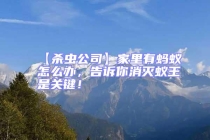 【殺蟲公司】家里有螞蟻怎么辦，告訴你消滅蟻王是關鍵！