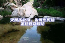 滅跳蚤公司，告訴您滅跳蚤途徑及預(yù)防
