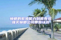 蟑螂的繁殖能力到底有多強(qiáng)滅蟑螂公司帶你認(rèn)識(shí)