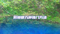 防蟑螂九種獨(dú)門方法