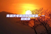 南昌滅老鼠藥價格便宜，一招斃命