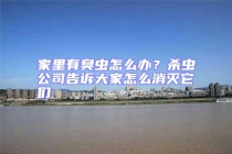 家里有臭蟲怎么辦？殺蟲公司告訴大家怎么消滅它們