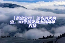 【殺蟲公司】怎么消滅臭蟲，10個殺滅臭蟲的簡單方法