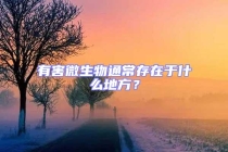有害微生物通常存在于什么地方？