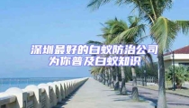 深圳最好的白蟻防治公司為你普及白蟻知識(shí)