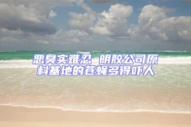 惡臭實難忍 明膠公司原料基地的蒼蠅多得嚇人