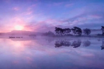 殺蟲(chóng)公司專業(yè)團(tuán)隊(duì)才有好的效果