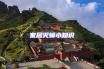 家居滅蟑小知識