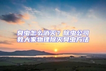 臭蟲怎么消滅？除蟲公司教大家物理除滅臭蟲方法