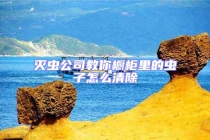 滅蟲公司教你櫥柜里的蟲子怎么清除