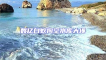 數(shù)億白蟻掏空水庫大壩