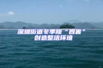 深圳街道冬季除“四害” 創造整潔環境