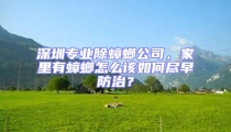 深圳專業(yè)除蟑螂公司，家里有蟑螂怎么該如何盡早防治？