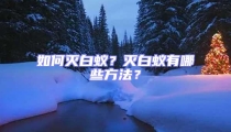 如何滅白蟻？滅白蟻有哪些方法？