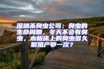 深圳殺臭蟲公司：臭蟲的生命周期，冬天不會有臭蟲，木板床上的臭蟲多久繁殖產卵一次？