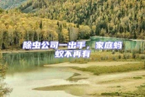 除蟲公司一出手，家庭螞蟻不再有