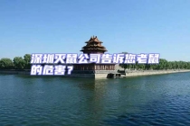 深圳滅鼠公司告訴您老鼠的危害？