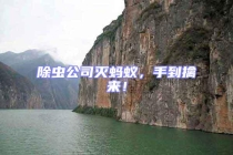 除蟲公司滅螞蟻，手到擒來！