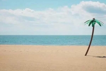 深圳專業(yè)滅蚊蠅公司