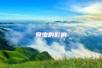 臭蟲(chóng)的影響